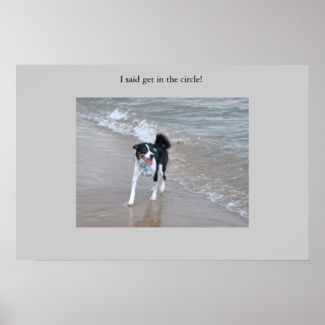 Affiches Le puissant Collie (Devant)