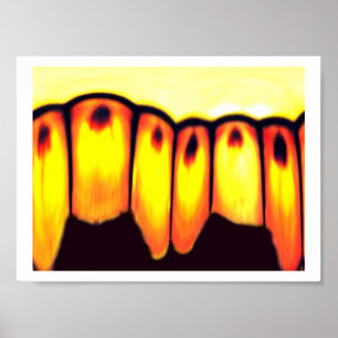 Affiches le rassemblement