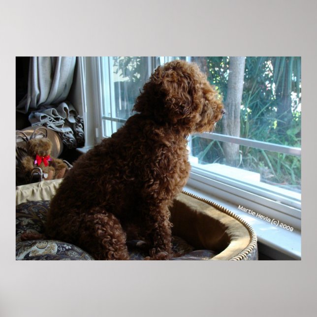 Affiches Le recteur attend par la fenêtre (Devant)