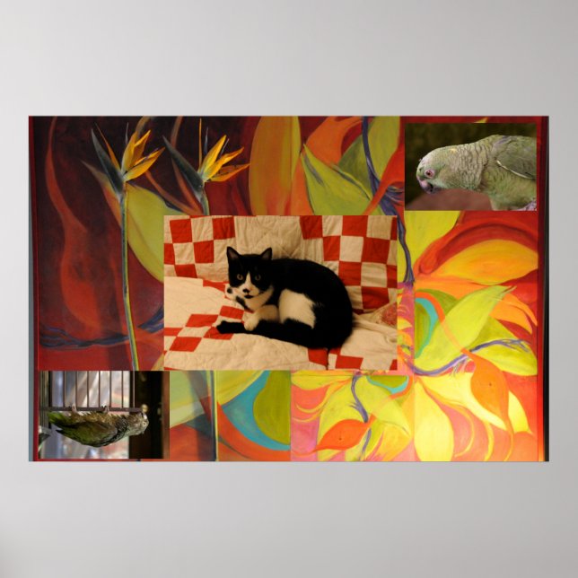 Affiches Le rêve d'Euclid (Devant)