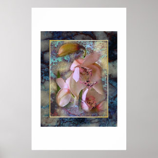 Affiches Le rêve tropical