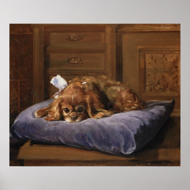Affiches Le roi Charles Spaniel (Devant)