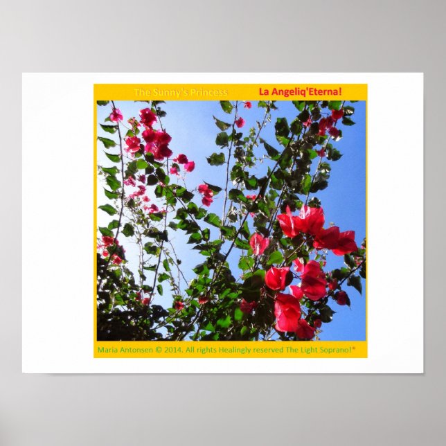 Affiches Le Rosariankrantz de la Lampe Aurorienne ! * (Devant)