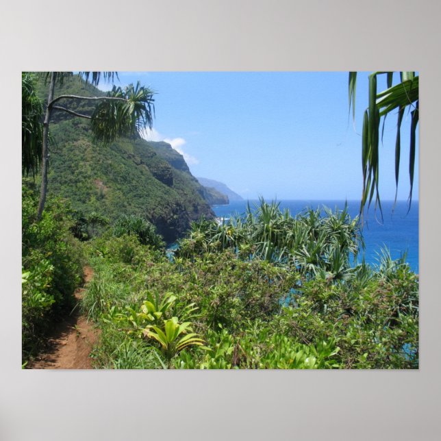 Affiches Le sentier de Kalalau (Devant)