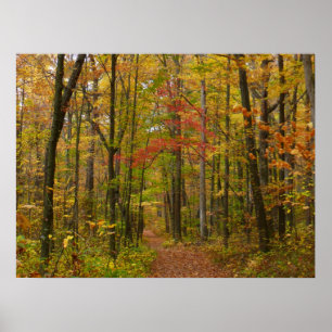 Affiches Le sentier Laurel Hill à l'automne