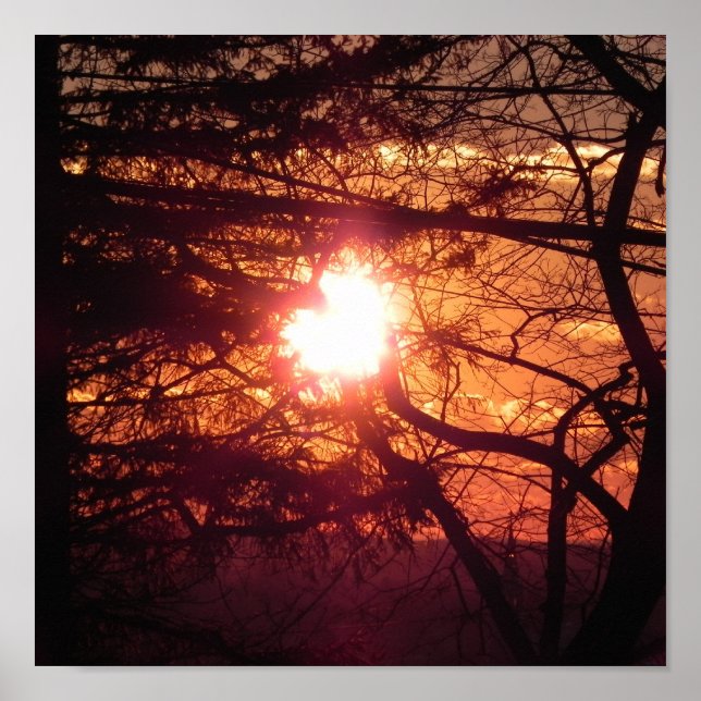 Affiches Le Soleil d'Hiver (Devant)