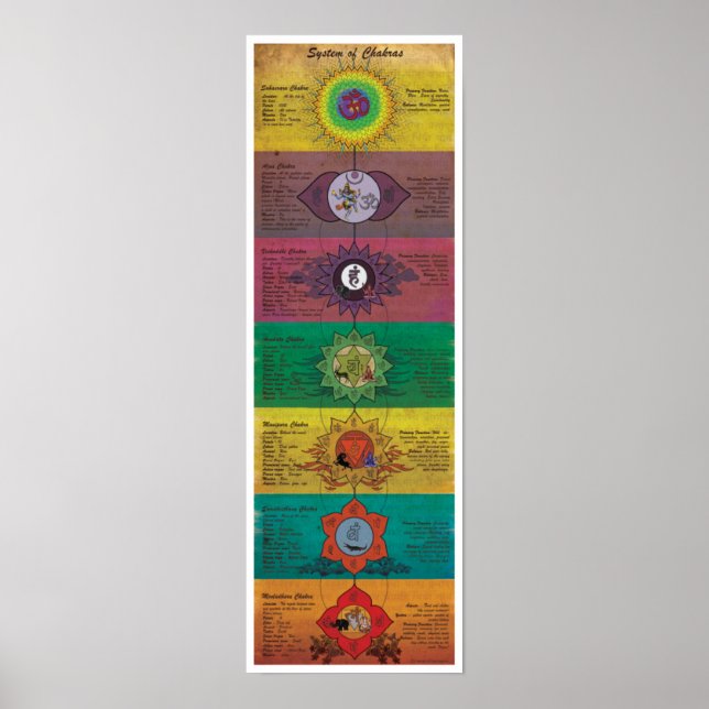 Affiches Le Système Des Chakras (Devant)
