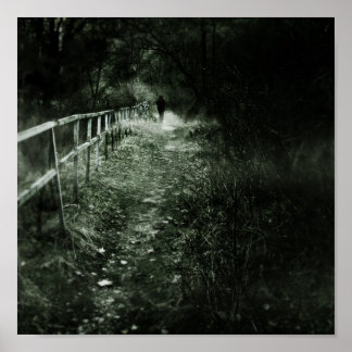 Affiches Le vagabond