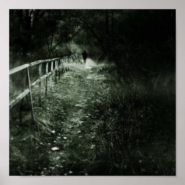Affiches Le vagabond (Devant)