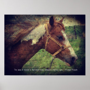 Affiches Le Vent du Ciel, clinquant