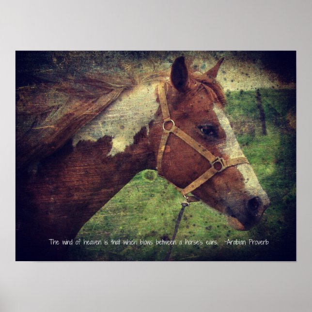 Affiches Le Vent du Ciel, clinquant (Devant)