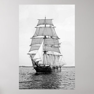 Affiches L'écorce Robert Ewing