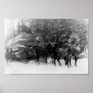 Affiches Lecteur de journal