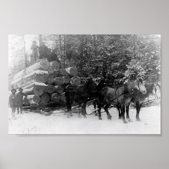 Affiches Lecteur de journal (Devant)