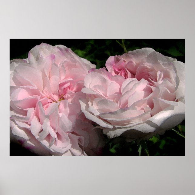 Affiches Leda (Devant)