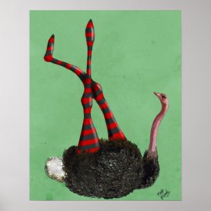 Affiches Leggings rayés d'autruche