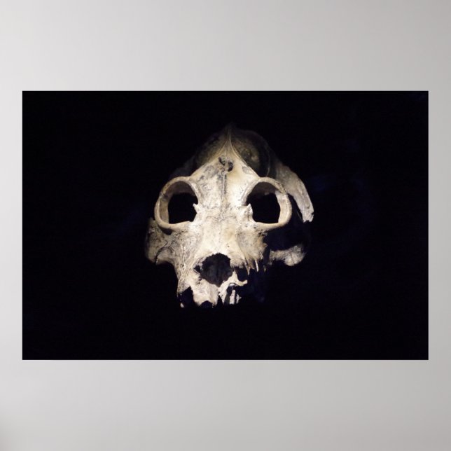 Affiches Lémurien géant (Devant)