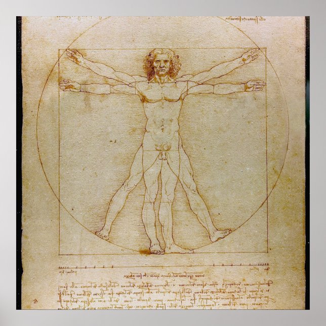Affiches Leonardo Da Vinci, Homme Vitruvien, Renaissance (Devant)