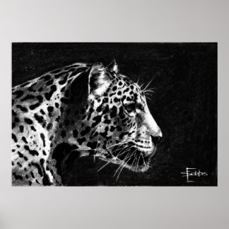 Affiches Leopard