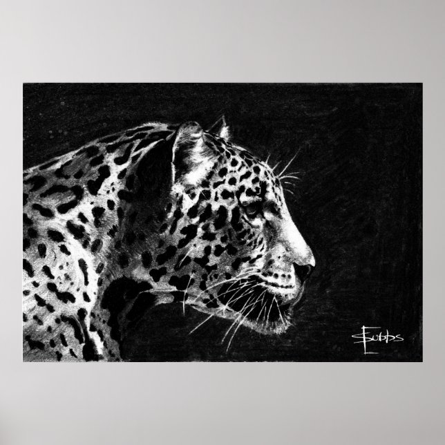 Affiches Leopard (Devant)