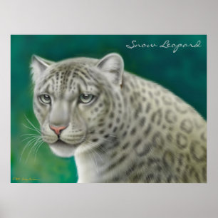 Affiches Leopard des neiges en voie de disparition