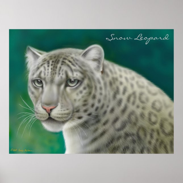Affiches Leopard des neiges en voie de disparition (Devant)