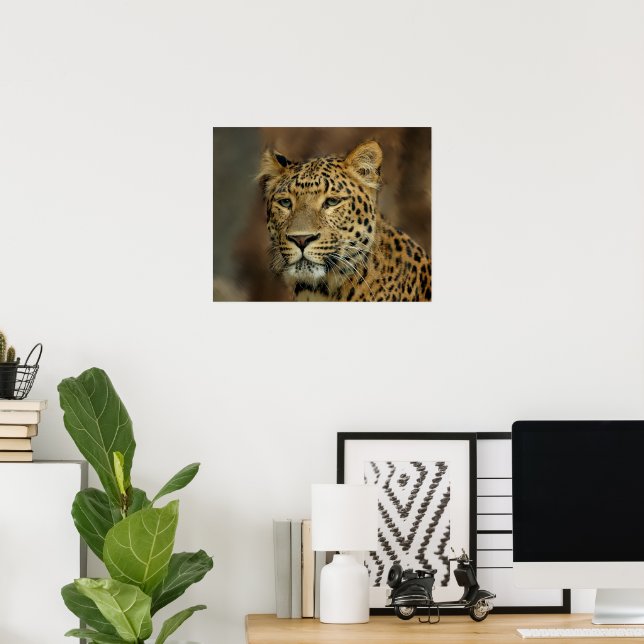 Affiches Leopard Lovers (Bureau à domicile)