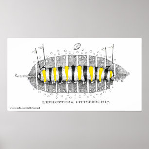 Affiches Lepidoptera Pittsburghia-Zazzle, www.zazzle.com...