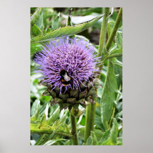 AFFICHES LES ABEILLES