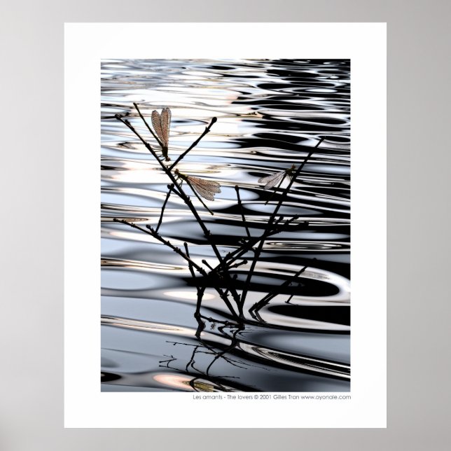 Affiches Les amants - Les amants (Devant)