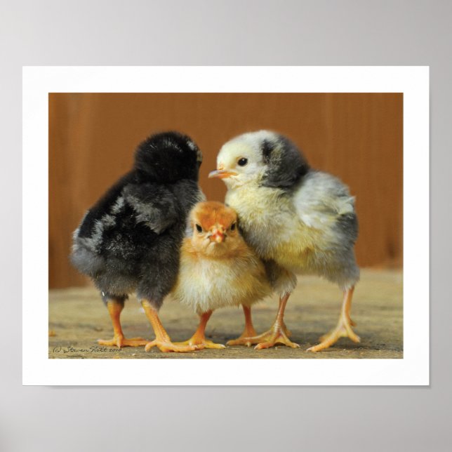 Affiches Les Amis S'Accrochent - Accrochent Les Petits Enfa (Devant)