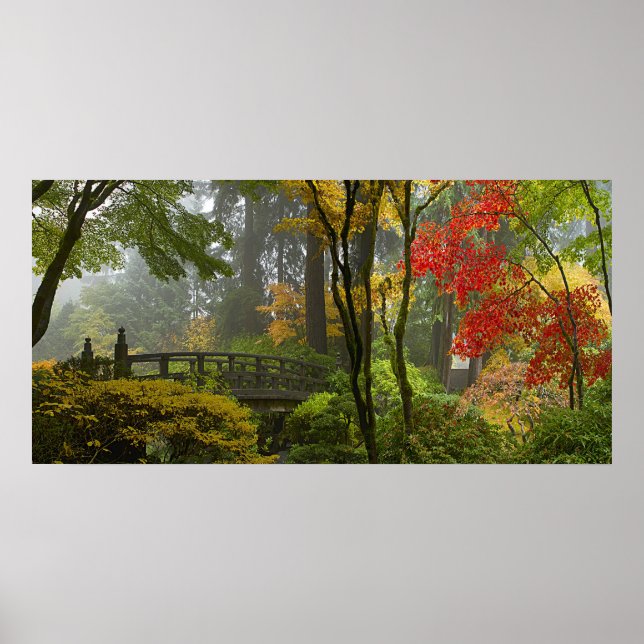 Affiches Les arbres de l'érable Couleurs de chute dans le j (Devant)