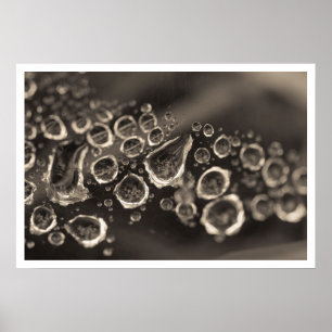 Affiches les baisses de chaussure