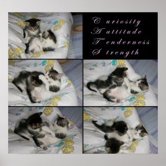 Affiches Les chatons en jeu