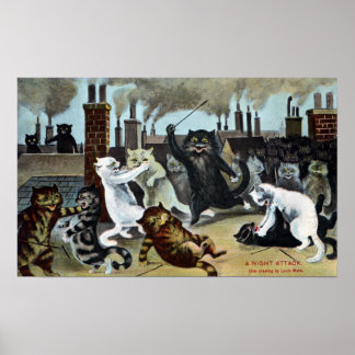 Affiches Les chats le font sortir sur le toit
