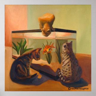 Affiches Les chats regardent le poisson
