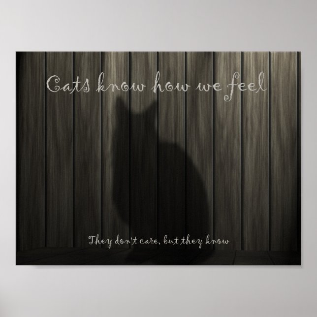 Affiches Les chats savent ce que nous ressentons (Devant)