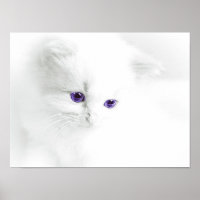 Les Chattes Blanches