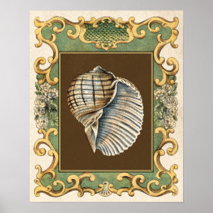 Affiches Les coquilles de la petite sirène