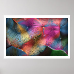 Affiches Les couleurs dans les cheveux
