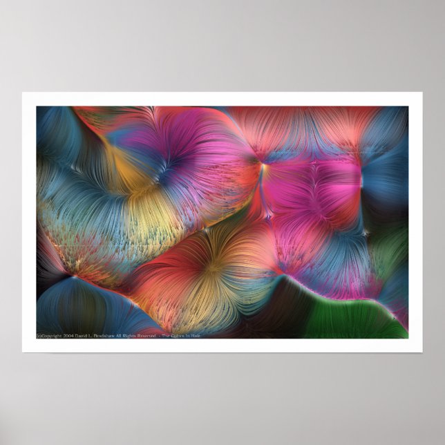 Affiches Les Couleurs Des Cheveux (Devant)