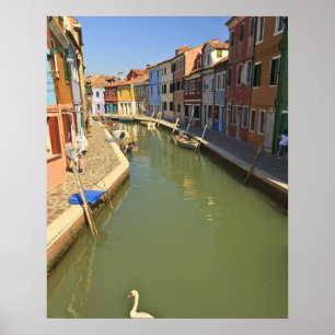 Affiches Les cygnes dans le canal, île de Burano, Venise, 