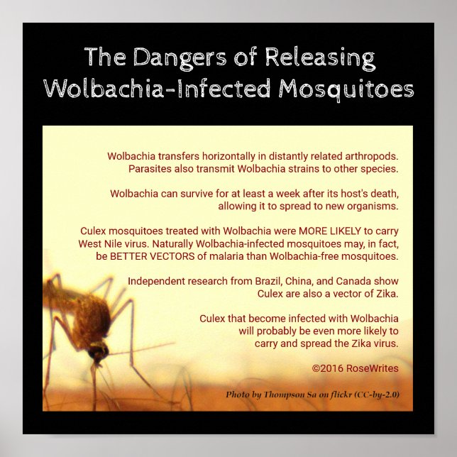Affiches Les dangers de Wolbachia par RoseWrites (Devant)