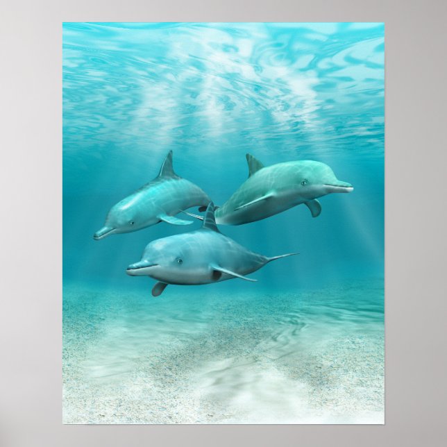 Affiches Les dauphins de natation (Devant)