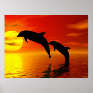 Affiches Les dauphins sautant l'affiche de coucher du