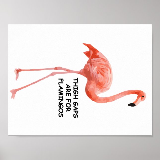 Affiches Les Écarts De Cuisse Sont Pour Les Flamants roses (Devant)