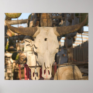 Affiches Les Etats-Unis, Nouveau Mexique, Mesilla : Plaza