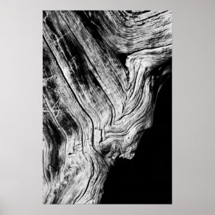 Affiches les étoiles le disent