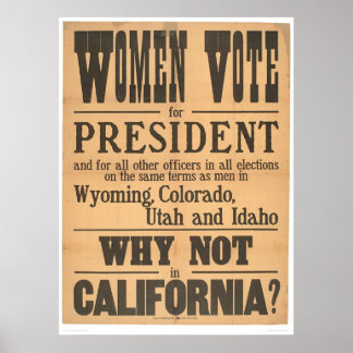 Affiches Les femmes votent à Broadside (1873A)