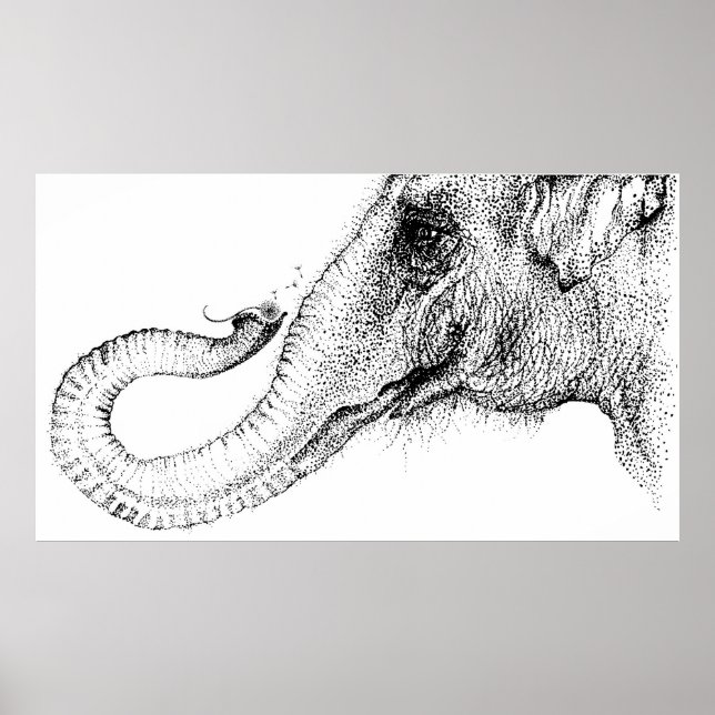 Affiches Les fidèles d'un éléphant 100% par Inkspot (Devant)